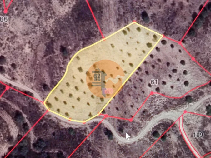 Terreno para Venda em Azinhal Foto 2