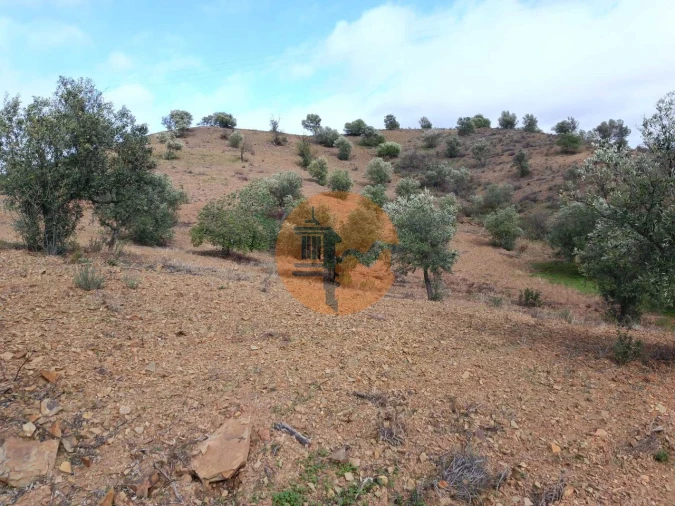 Terreno para Venda em Azinhal Foto 4