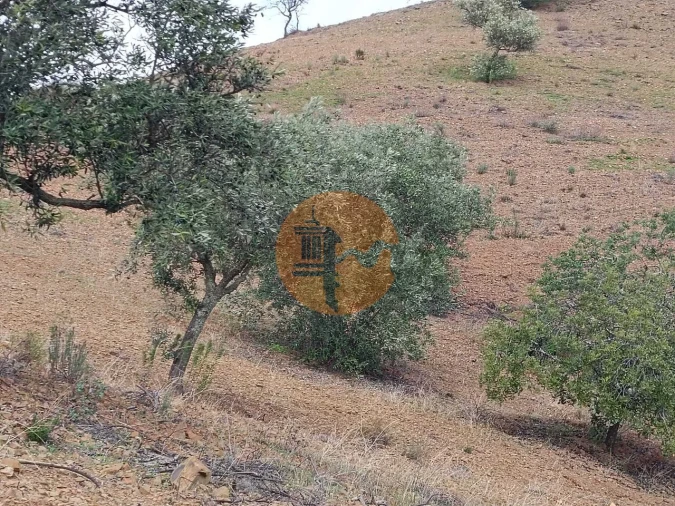 Terreno para Venda em Azinhal Foto 5