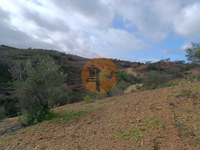 Terreno para Venda em Azinhal Foto 9