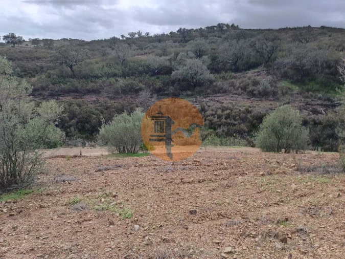 Terreno para Venda em Azinhal Foto 11