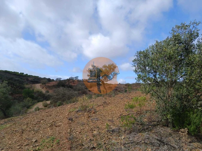 Terreno para Venda em Azinhal Foto 16