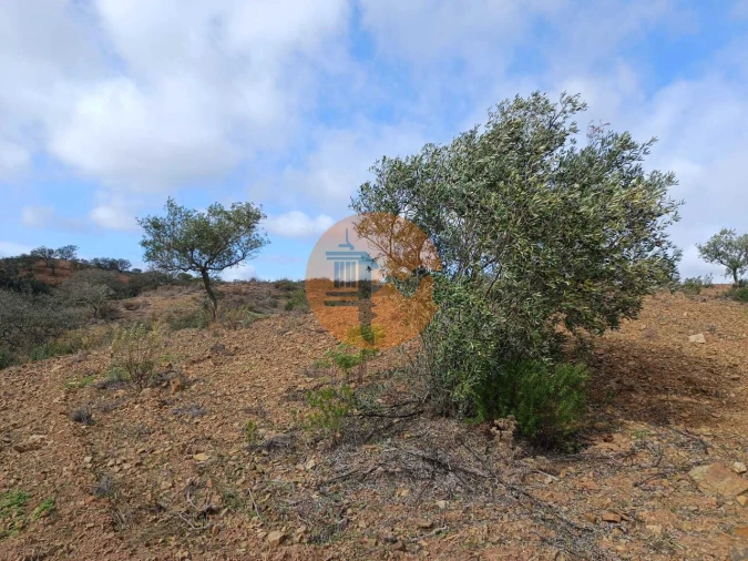 Terreno para Venda em Azinhal Foto 17