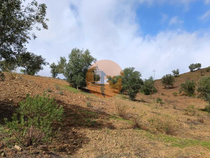 Terreno para Venda em Azinhal Foto 24