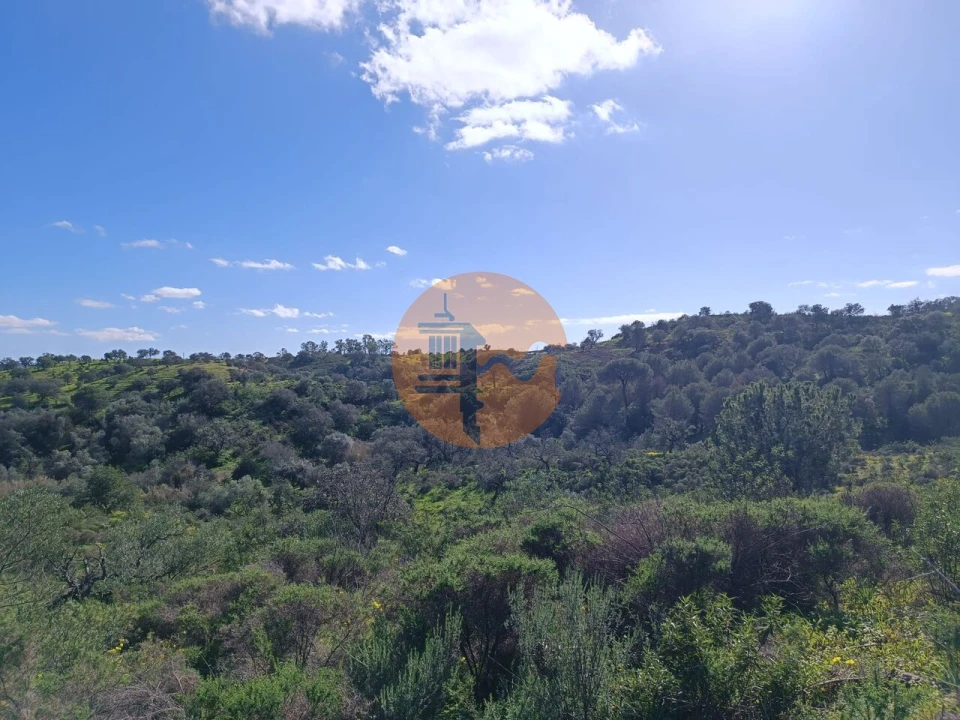 Terreno para Venda em Azinhal Foto 9