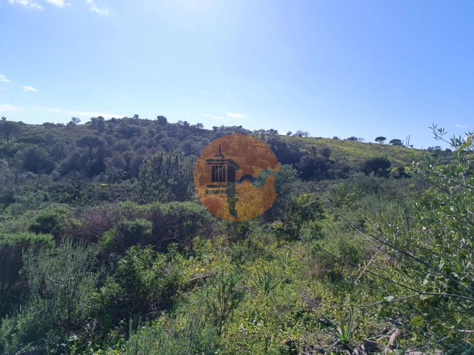 Terreno para Venda em Azinhal Foto 10