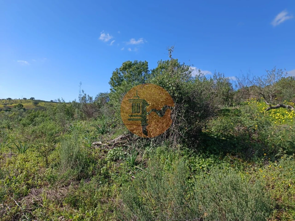 Terreno para Venda em Azinhal Foto 12