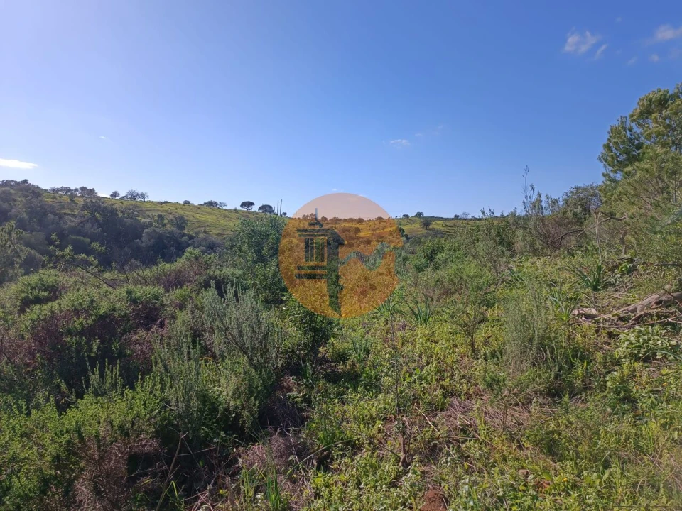 Terreno para Venda em Azinhal Foto 13