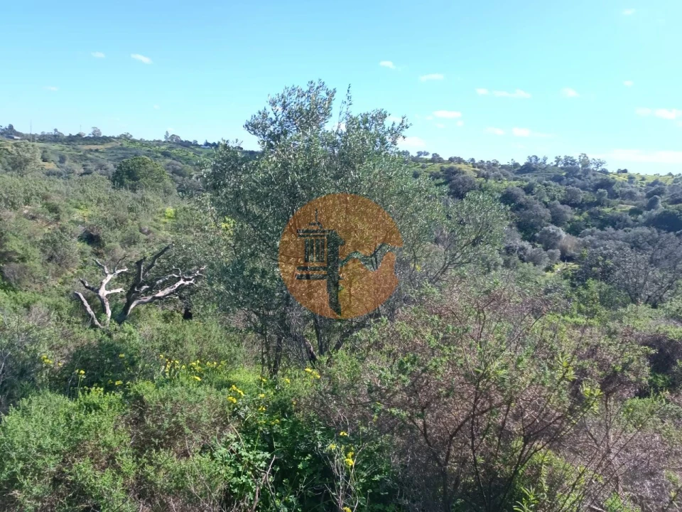 Terreno para Venda em Azinhal Foto 15