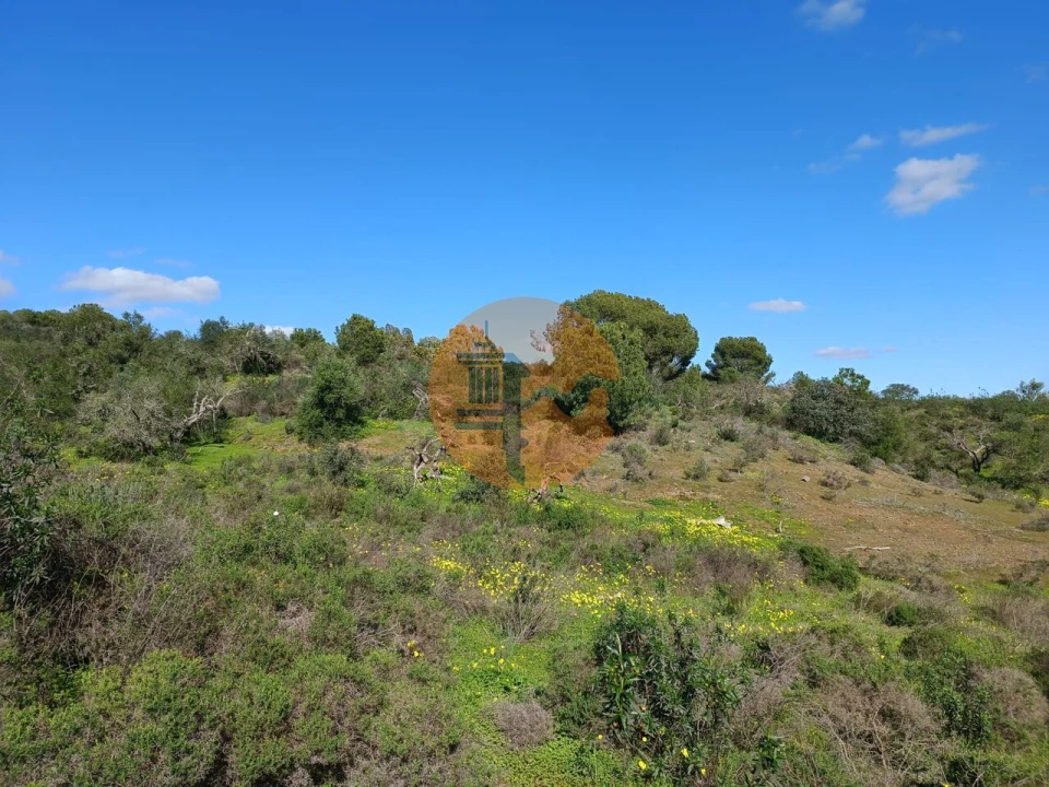 Terreno para Venda em Azinhal Foto 23