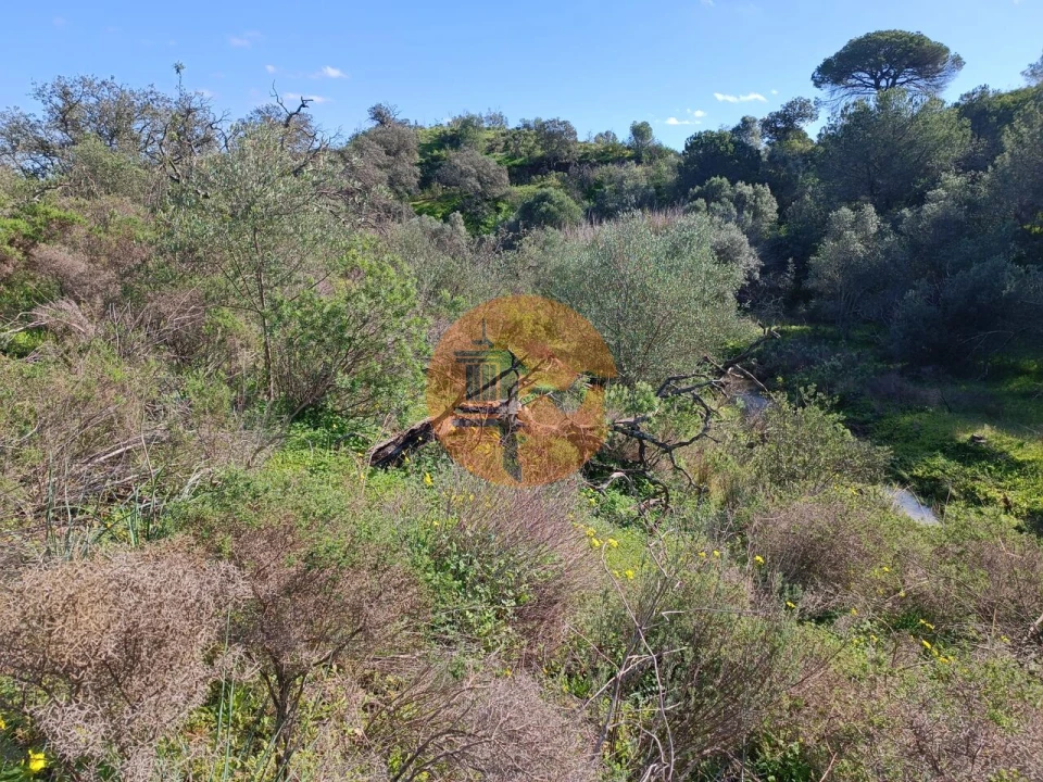 Terreno para Venda em Azinhal Foto 24