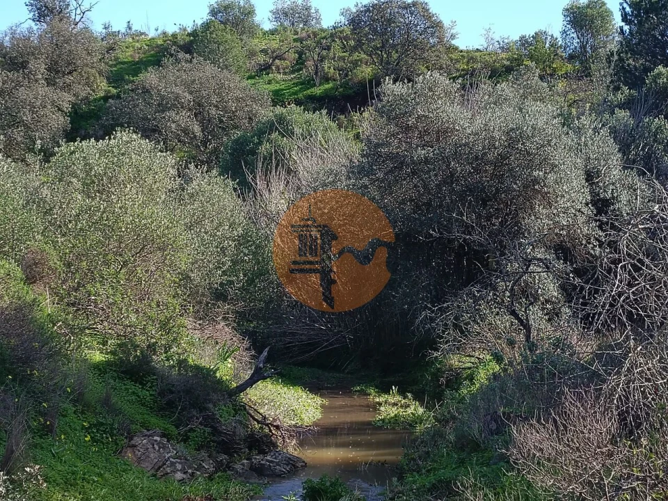 Terreno para Venda em Azinhal Foto 26