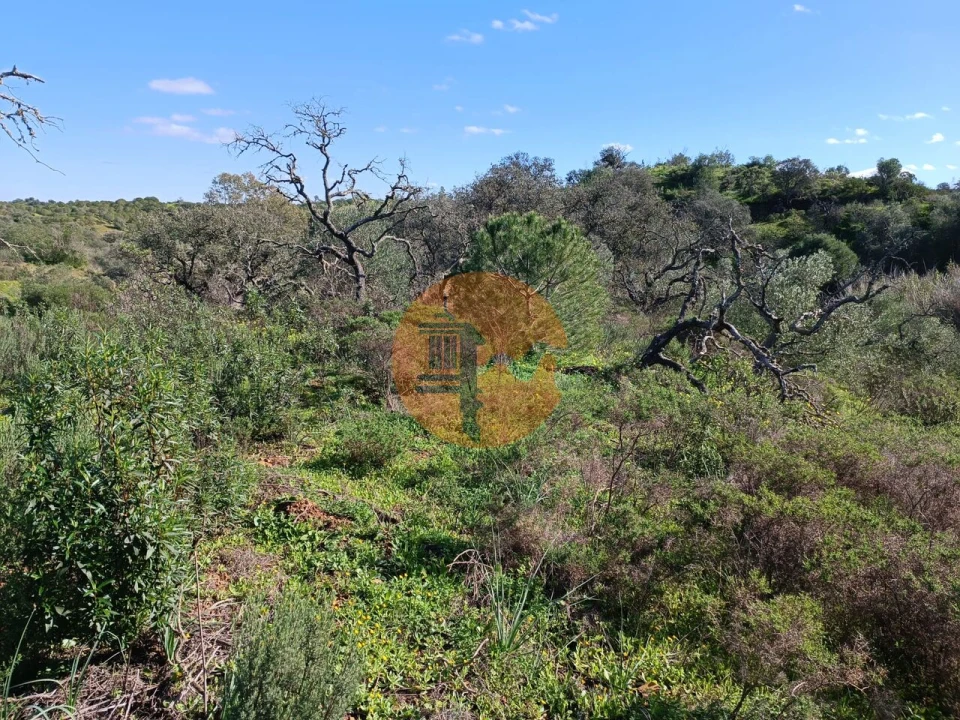 Terreno para Venda em Azinhal Foto 27