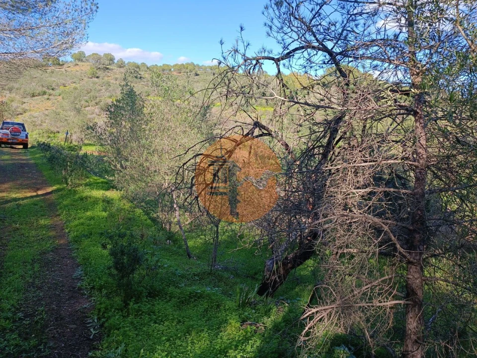 Terreno para Venda em Azinhal Foto 29