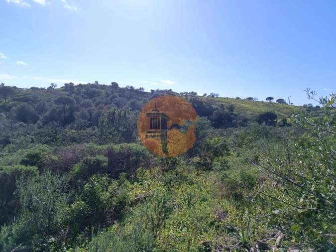Terreno para Venda em Azinhal Foto 10