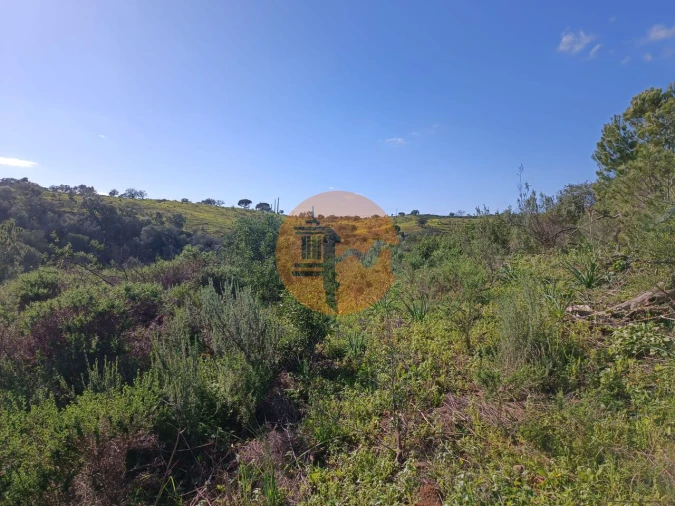 Terreno para Venda em Azinhal Foto 13
