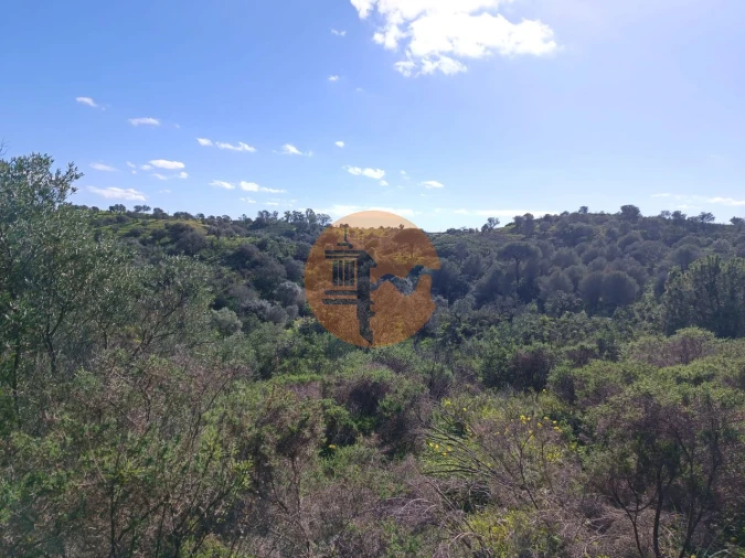 Terreno para Venda em Azinhal Foto 14