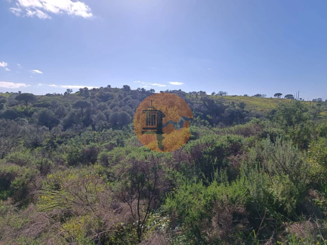 Terreno para Venda em Azinhal Foto 16