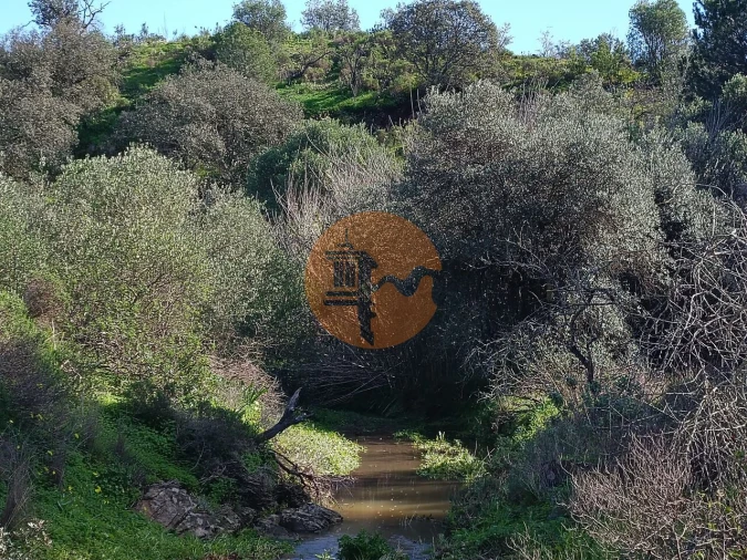 Terreno para Venda em Azinhal Foto 26