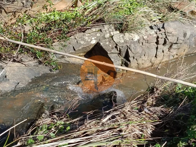 Terreno para Venda em Azinhal Foto 28