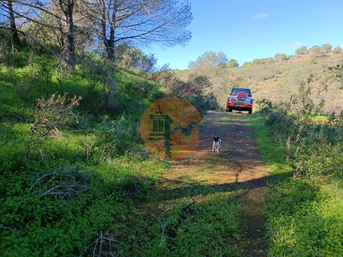 Terreno para Venda em Azinhal Foto 30