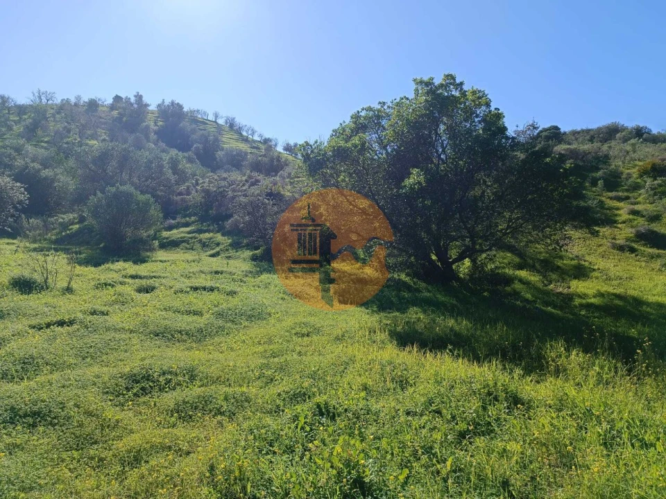 Terreno para Venda em Castro Marim Foto 4