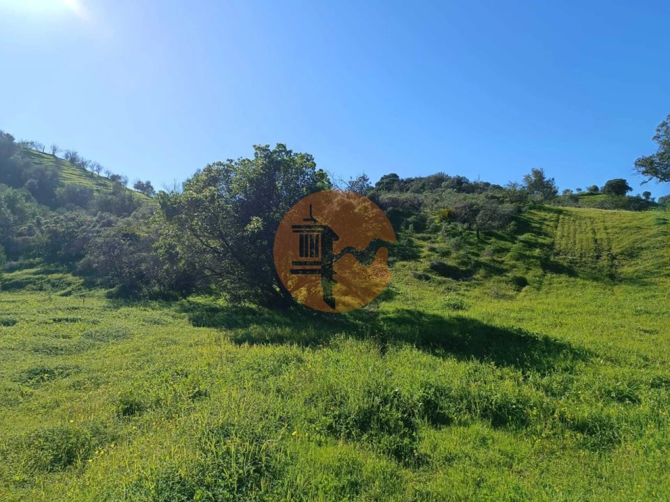Terreno para Venda em Castro Marim Foto 9