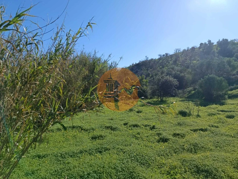 Terreno para Venda em Castro Marim Foto 13