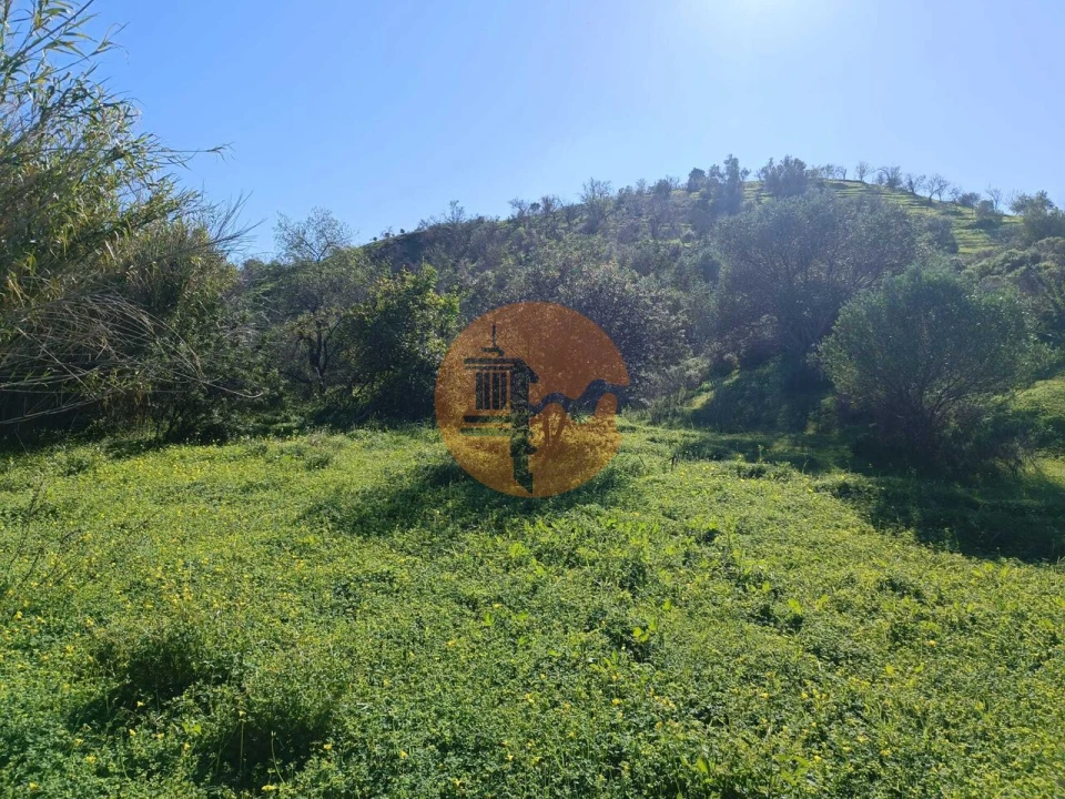 Terreno para Venda em Castro Marim Foto 15