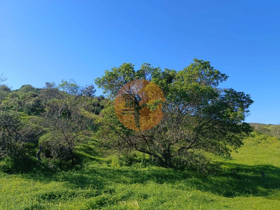 Terreno para Venda em Castro Marim Foto 17