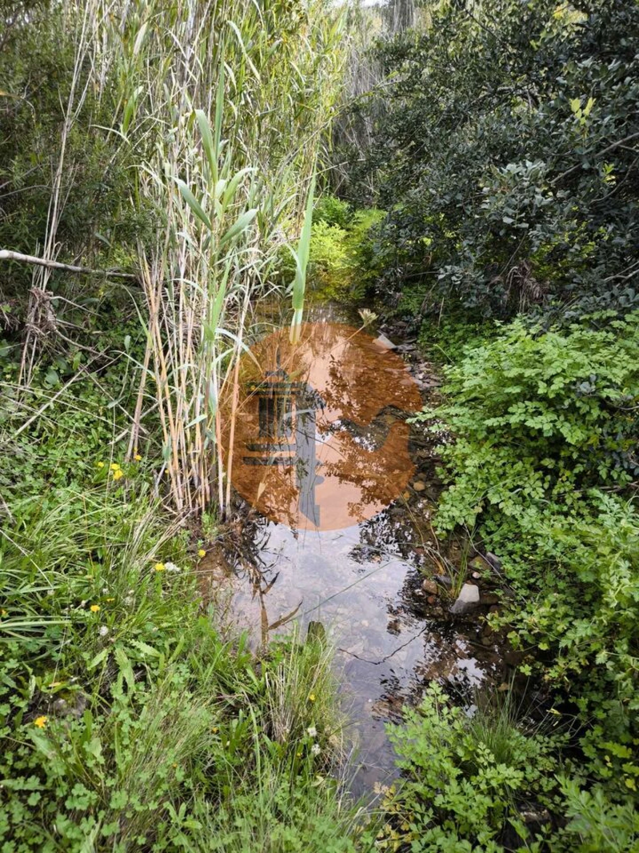 Terreno para Venda em Castro Marim Foto 3