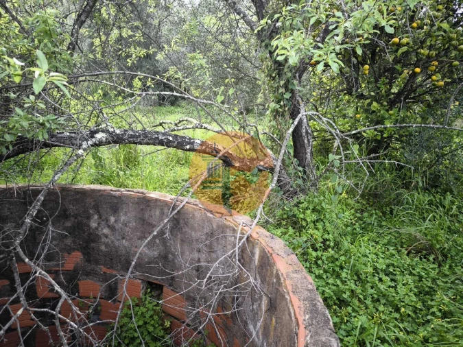 Terreno para Venda em Castro Marim Foto 23