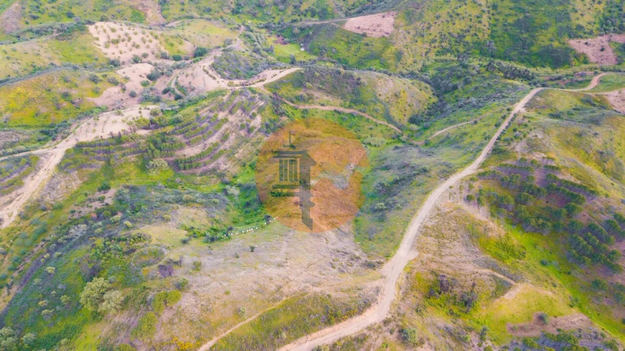 Terreno para Venda em Azinhal Foto 3