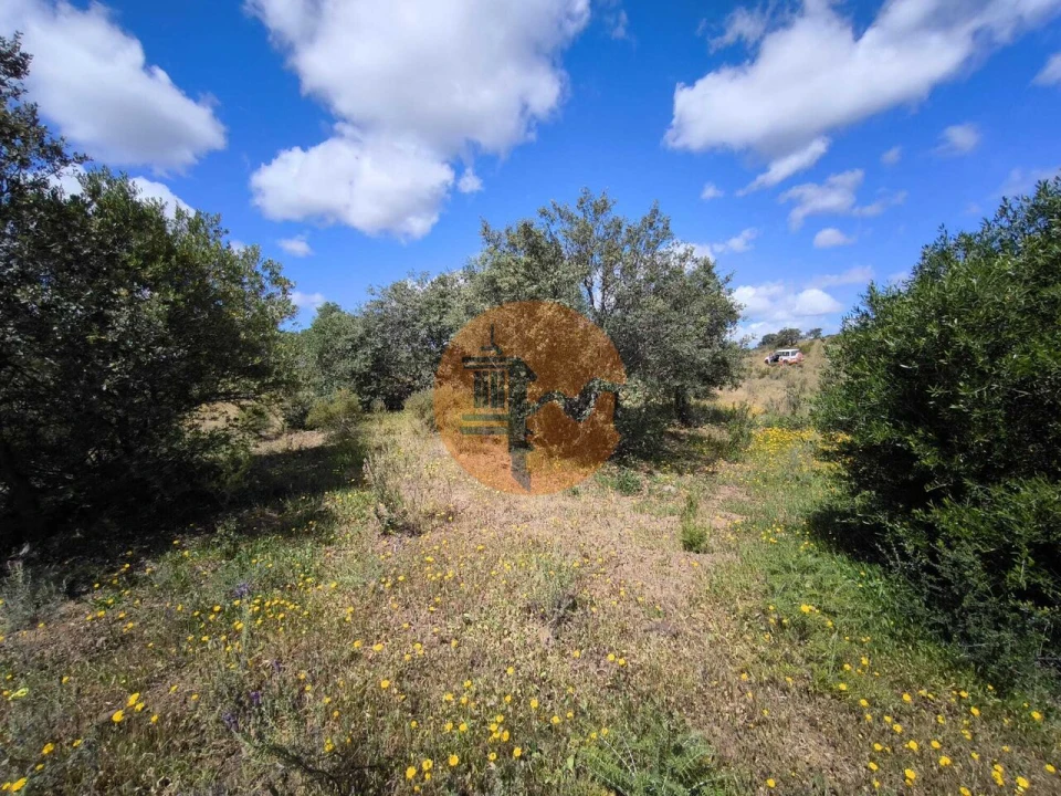 Terreno para Venda em Castro Marim Foto 19