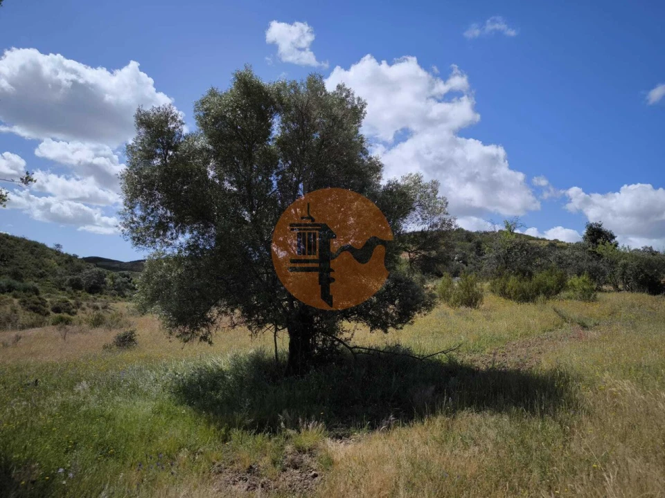 Terreno para Venda em Castro Marim Foto 29
