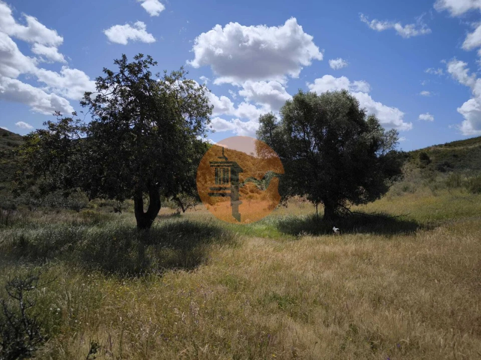 Terreno para Venda em Castro Marim Foto 34