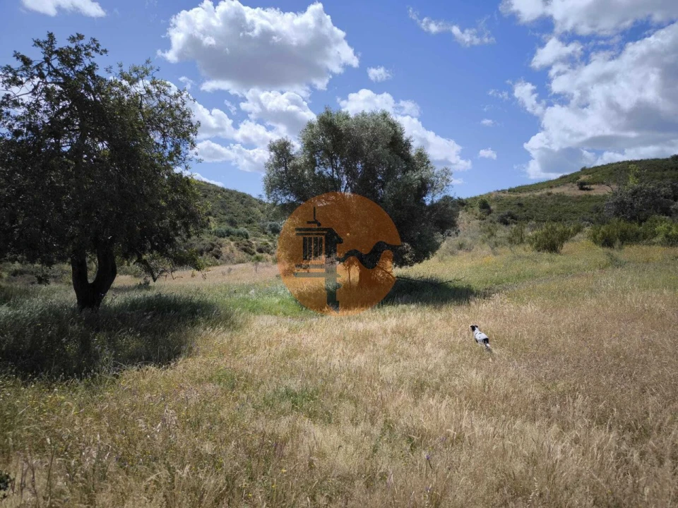 Terreno para Venda em Castro Marim Foto 35