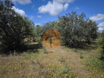 Terreno para Venda em Castro Marim
