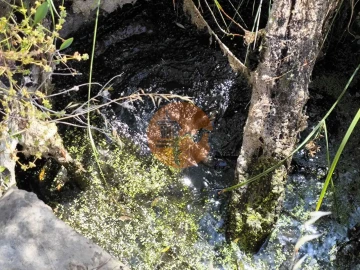 Terreno para Venda em Castro Marim