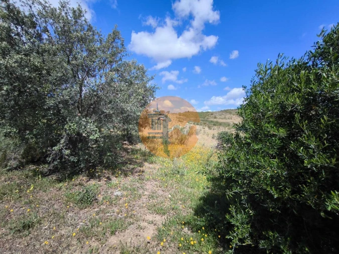 Terreno para Venda em Castro Marim Foto 14