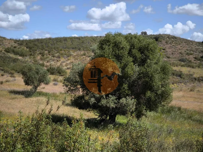 Terreno para Venda em Castro Marim Foto 18