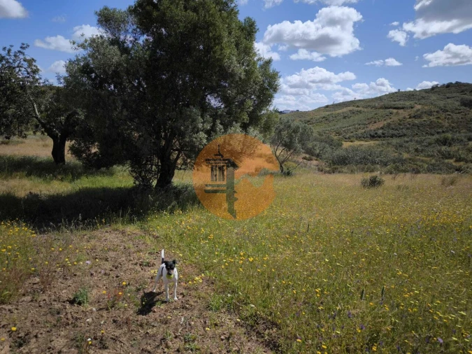 Terreno para Venda em Castro Marim Foto 3