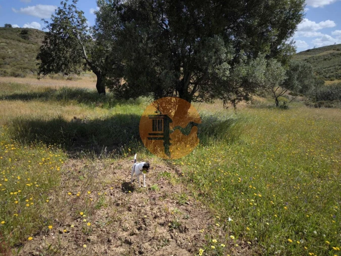 Terreno para Venda em Castro Marim Foto 33