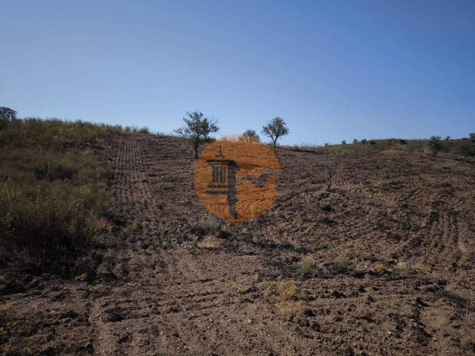 Terreno para Venda em Azinhal Foto 6