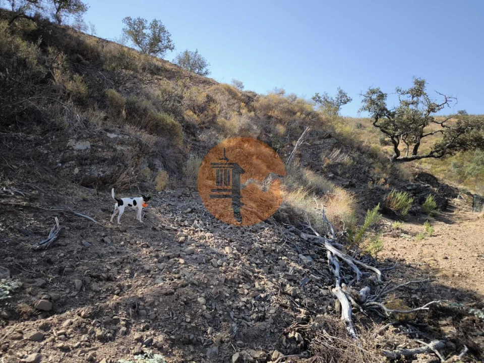 Terreno para Venda em Azinhal Foto 7