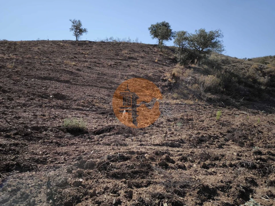 Terreno para Venda em Azinhal Foto 8