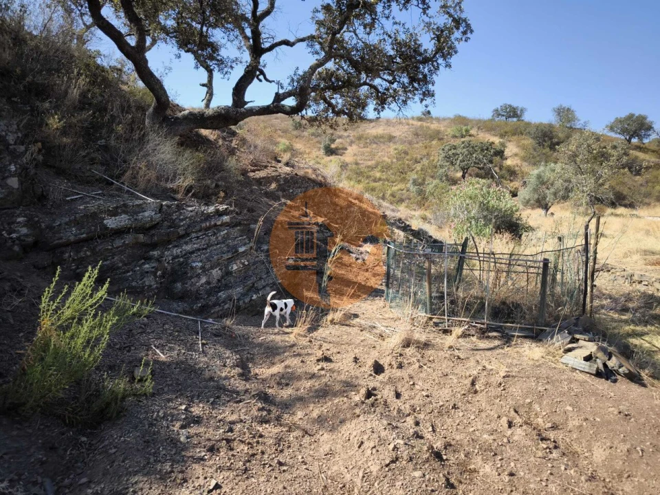 Terreno para Venda em Azinhal Foto 10
