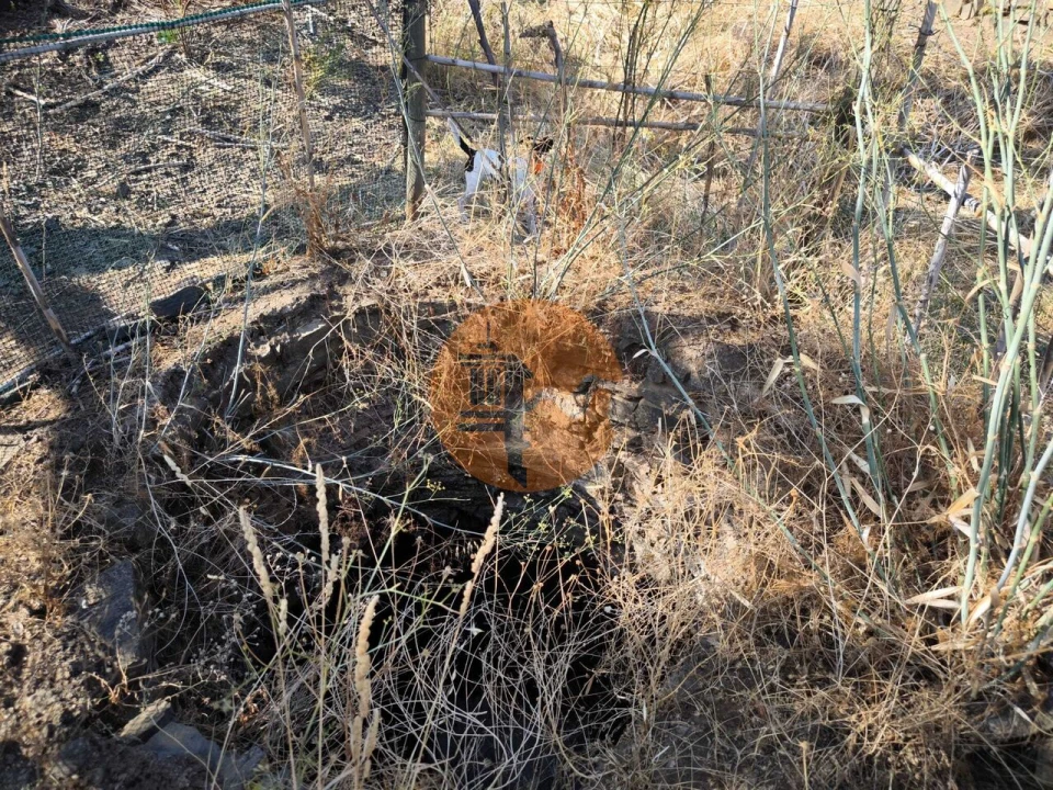 Terreno para Venda em Azinhal Foto 15