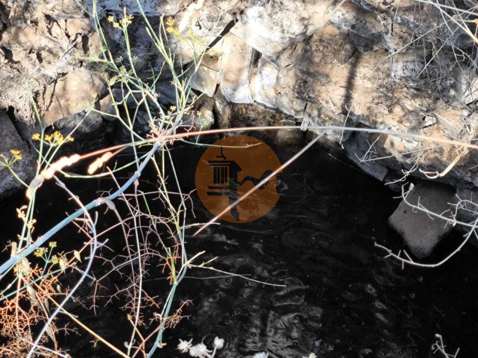 Terreno para Venda em Azinhal Foto 17