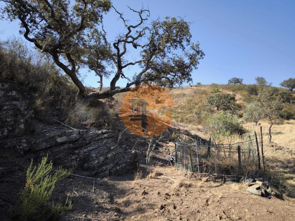 Terreno para Venda em Azinhal Foto 18